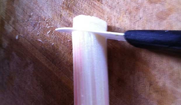 tarte_rhubarbe_maison_4