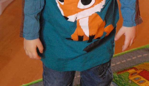 Un tee-shirt renard qui a fait un heureux ! Merci Josette la chouette !