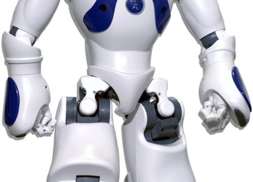 NAO en chair et en os !